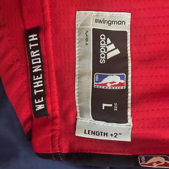 Kyle Lowry (L) - Picture 3 of 4